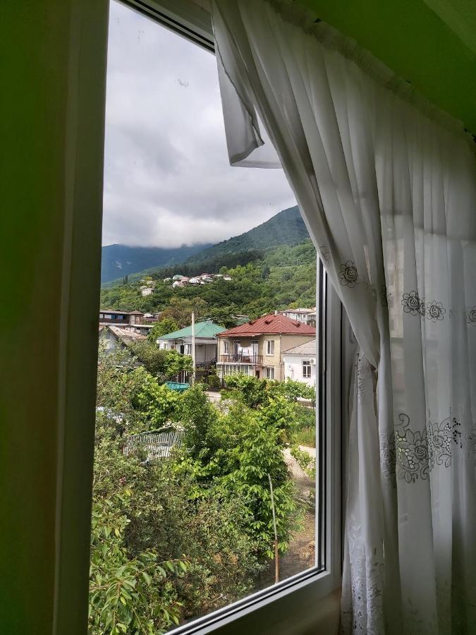 Na Shapsug Guest House Gagra Extérieur photo