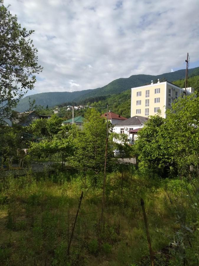 Na Shapsug Guest House Gagra Extérieur photo